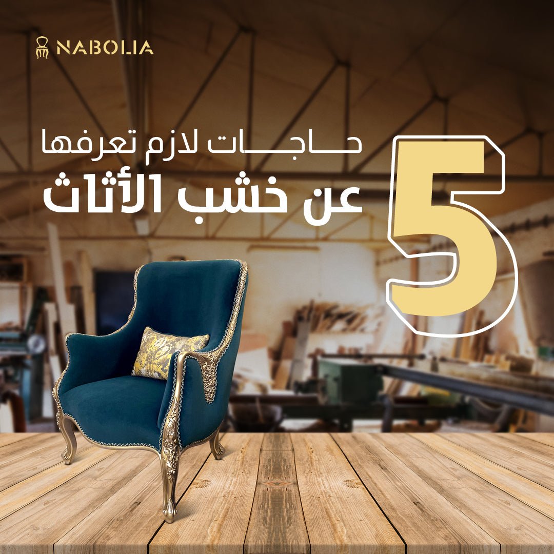 5 Nabolia 5 Nabolia