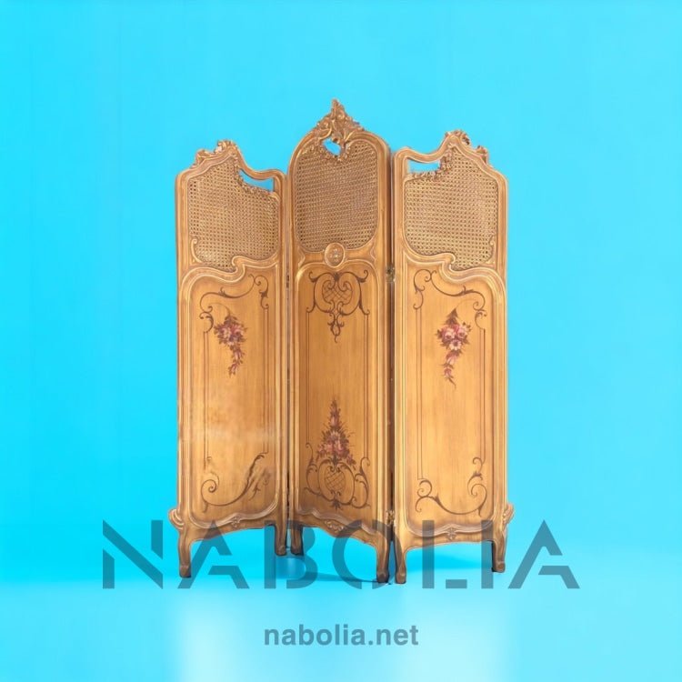 بارافان مشغول بالرسم اليدوي - Nabolia